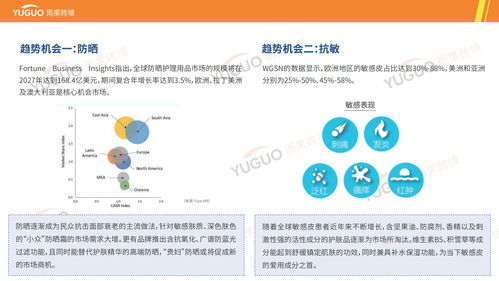 護膚產品出海指南與海外市場選品調研報告——基于雨果跨境分析視角